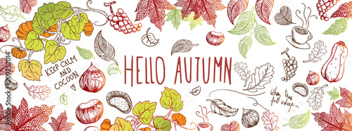 Autumn doodles background