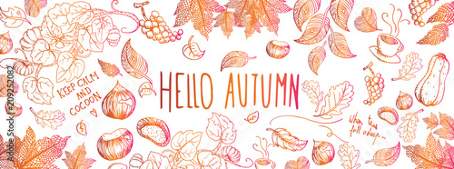 Autumn doodles background