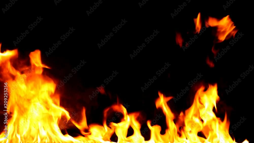 Fire Flames - Slow Motion.Real flames ignite on a black background. Real fire. Transparent background. PNG + Alpha channel Fire Flames - Slow Motion.Real flames ignite on a black background. Real fire. Transparent background. PNG + Alpha channel