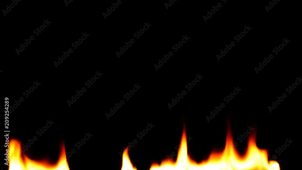 Fire Flames - Slow Motion.Real flames ignite on a black background. Real fire. Transparent background. PNG + Alpha channel Fire Flames - Slow Motion.Real flames ignite on a black background. Real fire. Transparent background. PNG + Alpha channel