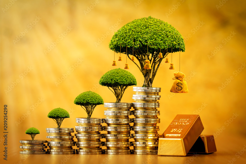 Stacking gold coins and money bag of tree with growing and gold bar in