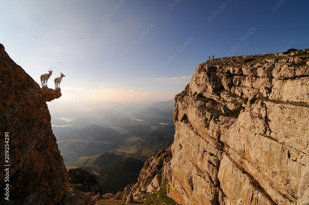 Fototapeta premium creative perspective ;aggressive lifestyle