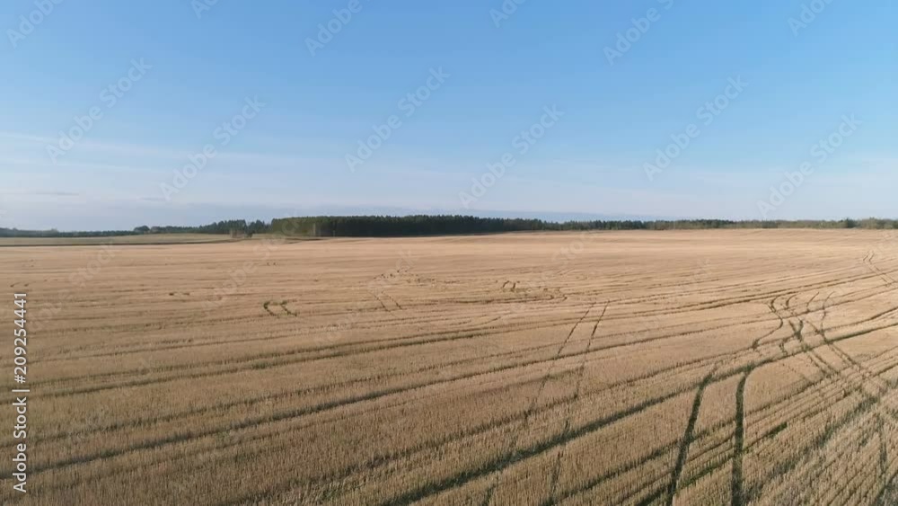 Flight above yellow field early spring, aerial panoramic view. Flight above yellow field early spring, aerial panoramic view.