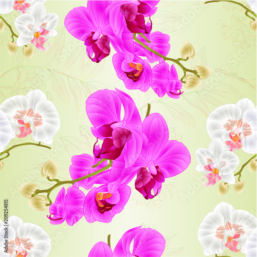 Seamless texture stems orchids Phalaenopsis White and purple flowers and buds tropical plants vintage vector botanical illustration for design hand draw