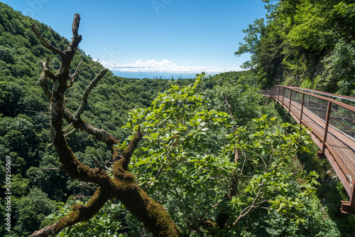 Okatse Canyon, hiking trail above the canyon, Zeda Gordi, Georgia photo