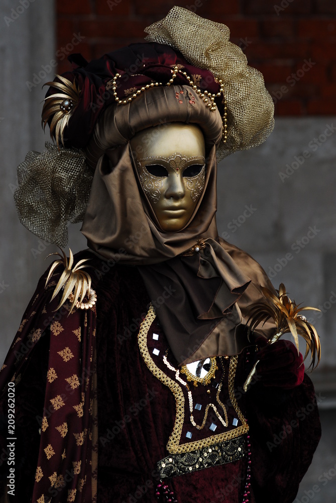 Venezia carnival art artist dress suit beauty sorrow mask face mistery