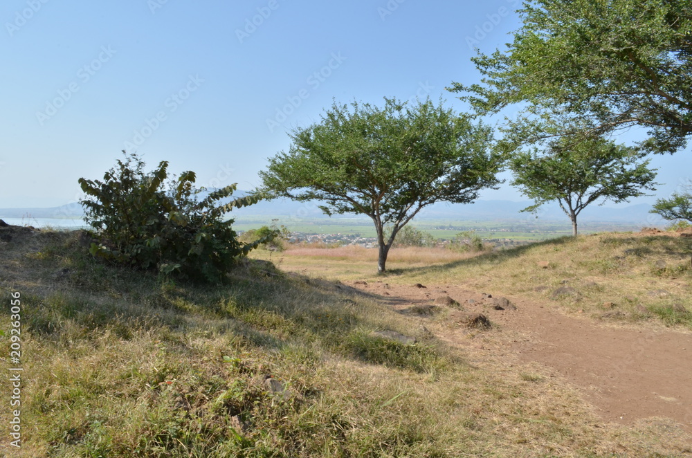 Piramides circulares Huachimontones en Tehuchitlan Jalisco México Piramides circulares Huachimontones en Tehuchitlan Jalisco México