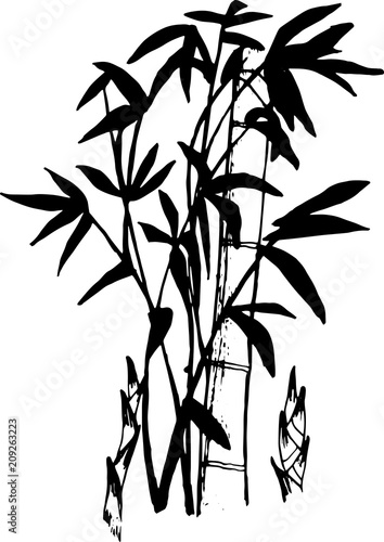 Black and white illustration of a bamboo tattoo