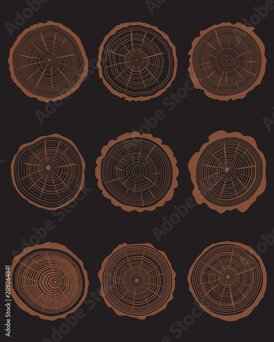 Set of cross section of different trunks, seamless background