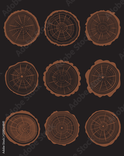 Set of cross section of different trunks, seamless background
