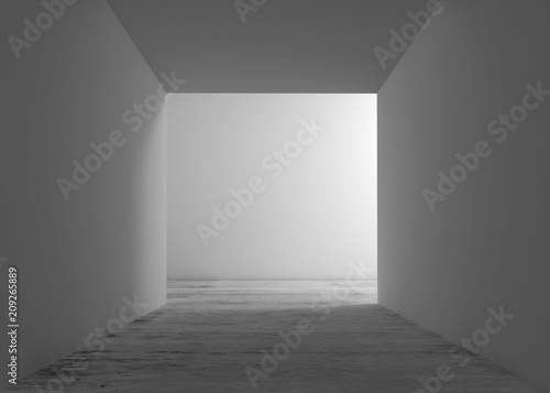 Abstract white interior background  doorway niche