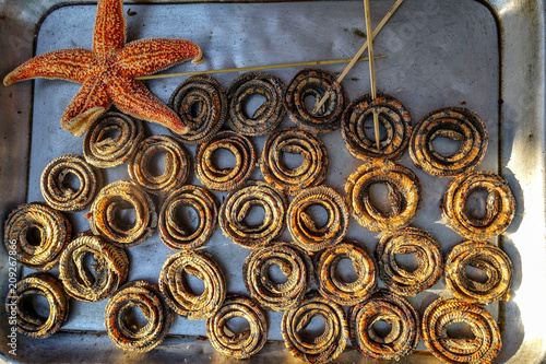 Close up of some snakes on sale on a food market in China. photo