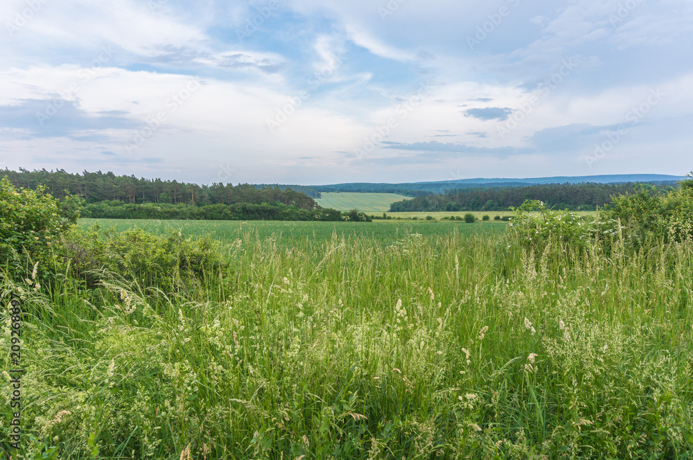 Fototapeta premium Landschaft im Frühling