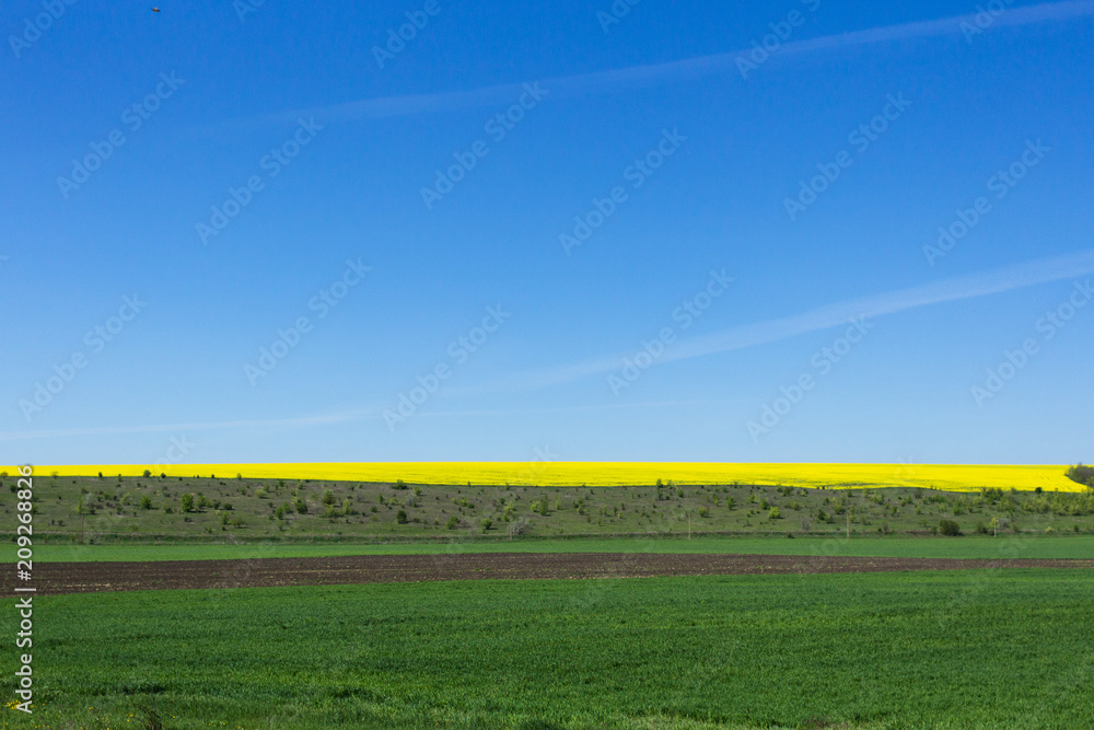 Obraz premium Background sky and field