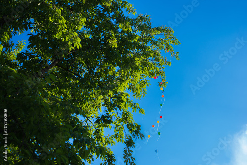 Air balloons on the background of a tree and a blue sky