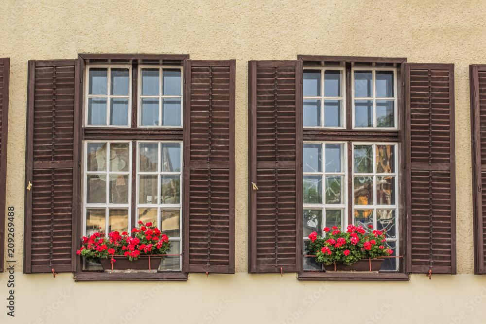 beautiful vintage windows with red flowers on a wall and empty space for copy or text