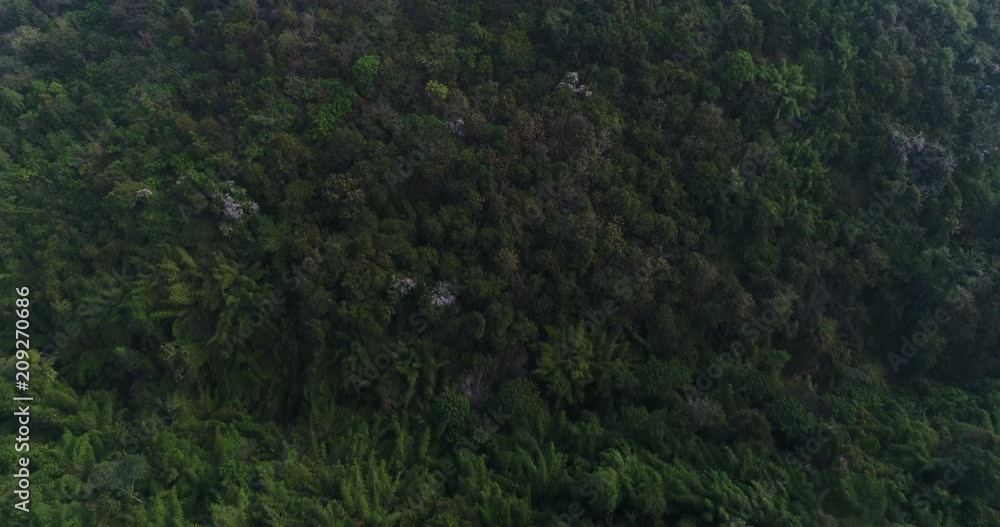 Aerial View flying over forest in Thailand Aerial View flying over forest in Thailand