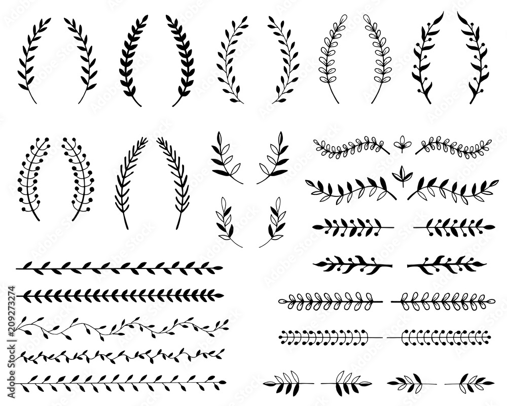 Hand drawn illustration of branches and leaves. Design elements
