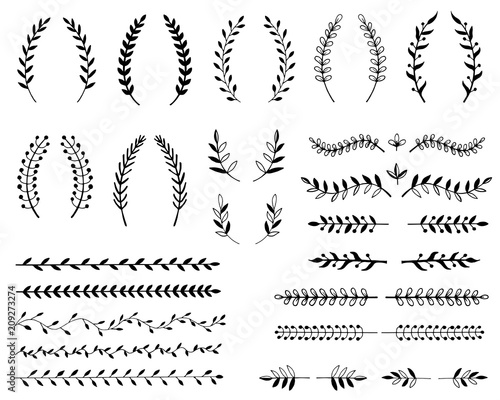 Hand drawn illustration of branches and leaves. Design elements