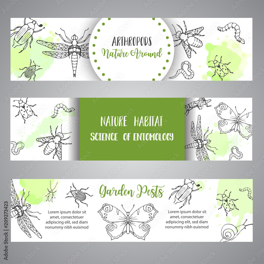 Bugs insects hand drawn banner. Pest control concept. Entomology poster Cartoon illustration of pests and bug. Vector illustration concept
