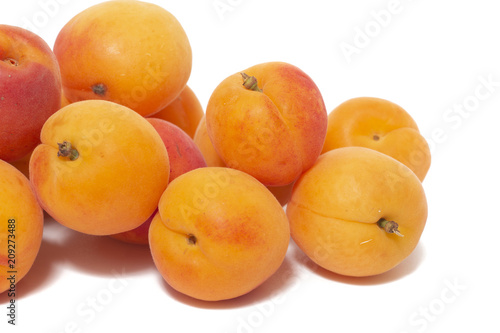 Armenian plums (Prunus armeniaca)