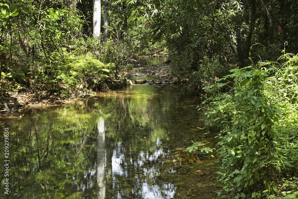 Natural Park El Cubano near Trinidad. Cuba Natural Park El Cubano near Trinidad. Cuba