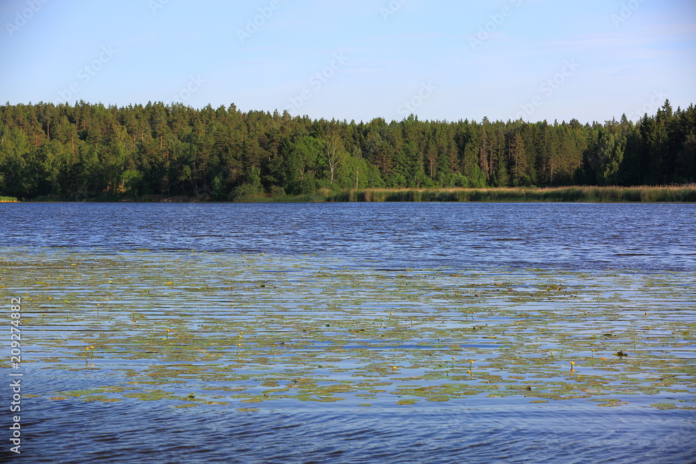 Gorgeous nature landscape on a summer day. Green paints and lawn, mirror water surface and blue sky with white clouds. Amazing nature landscape background. Gorgeous nature landscape on a summer day. Green paints and lawn, mirror water surface and blue sky with white clouds. Amazing nature landscape background.