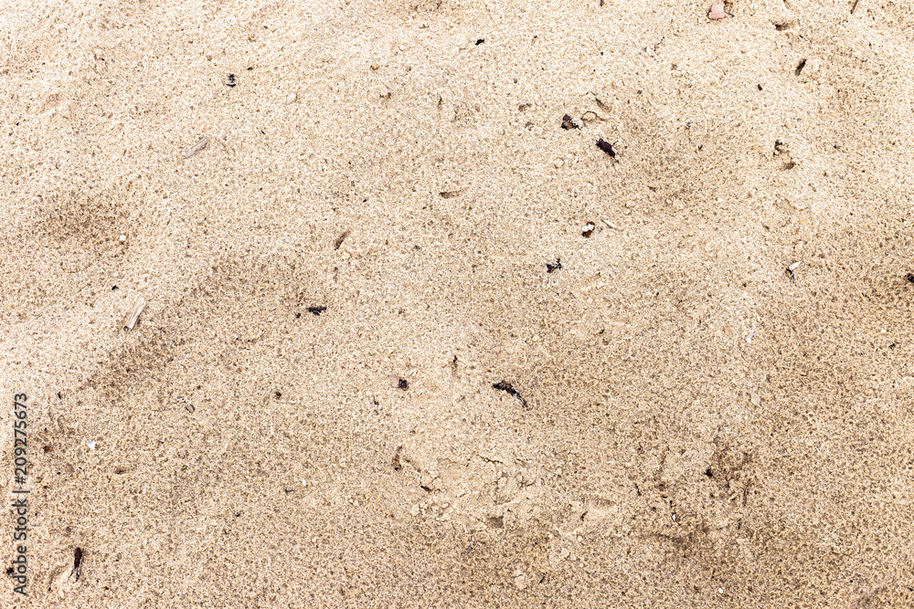 sandy beach sandy beach