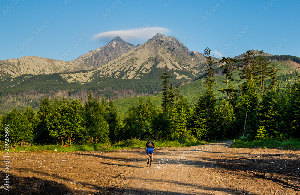 Fototapeta premium Dolina Kežmarskej Bielej vody, Kezmarska Valley, View on Lomnica