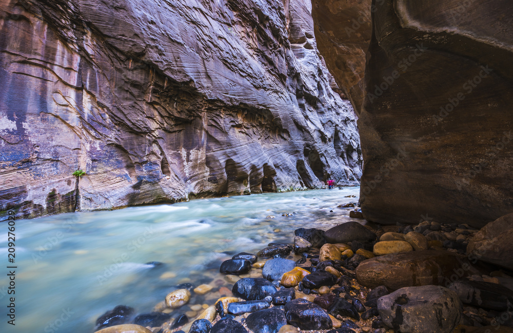 beautiful of narrow in the afternoon  in Zion National park,Utah,usa.