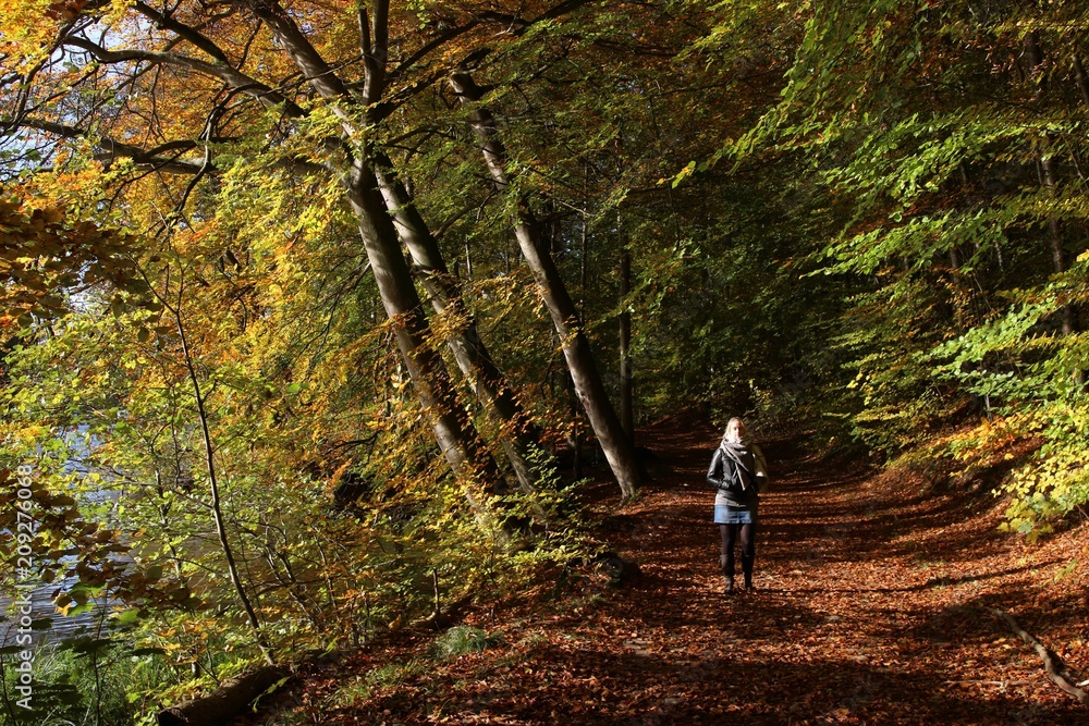 Obraz premium autumn walk