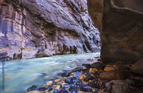 beautiful of narrow in the afternoon in Zion National park,Utah,usa.