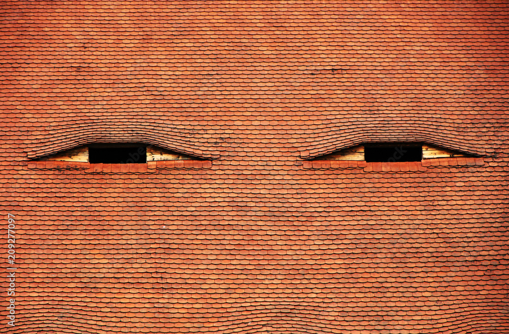 Fototapeta premium Architectural detail in Sibiu - Hermannstadt, Romania, Europe