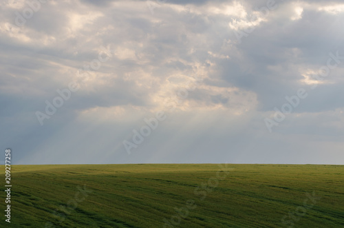 Landscape view of green fields and clouds in the summer season © thaarey1986