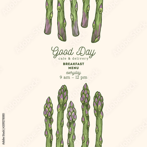 Vintage asparagus organic market design template. Organic vegetables. Vector illustration