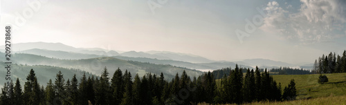 Naklejka panorama pejzaż widok las dolina