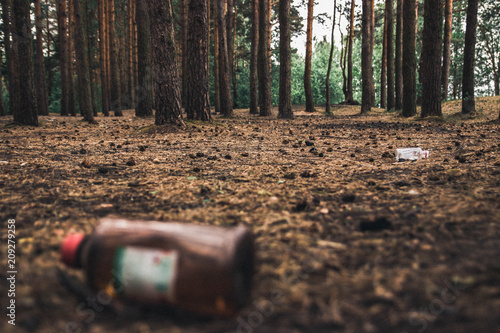 Fototapeta samoprzylepna piękny las zaśmiecony przez człowieka
