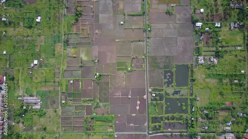 Overhead aerial shot of agricultural fields in Indonesia photo