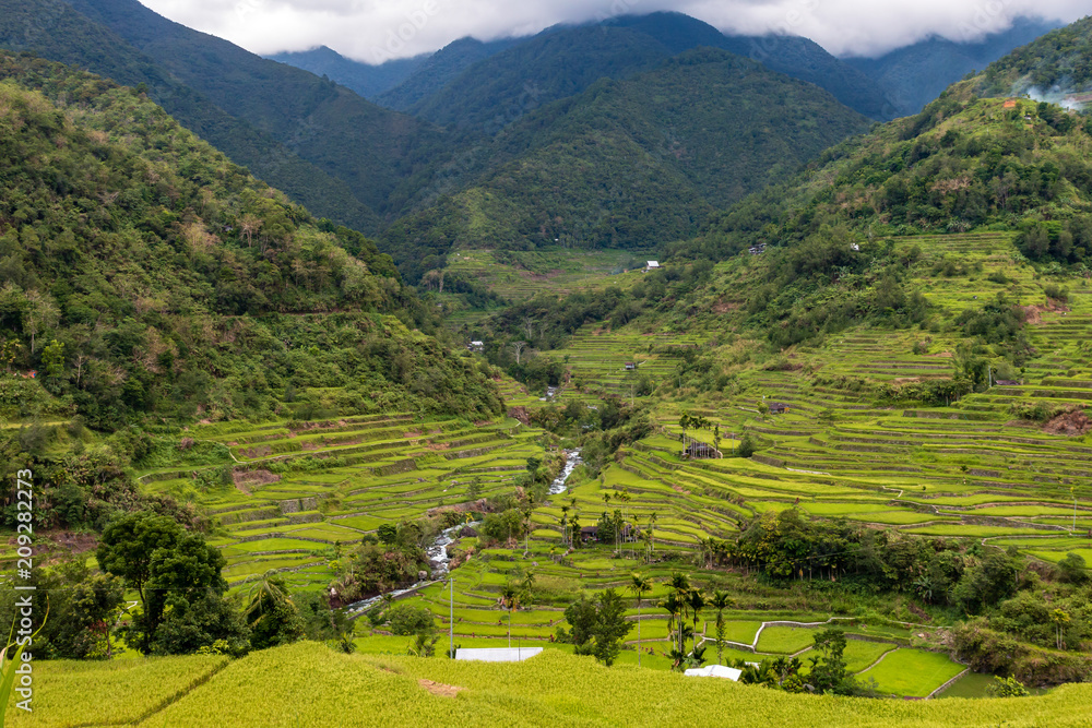 Spectacular rice terraces in a narrow valley surrounded by tall mountains and low hanging cloud (Hapao, Banaue, Philippines)