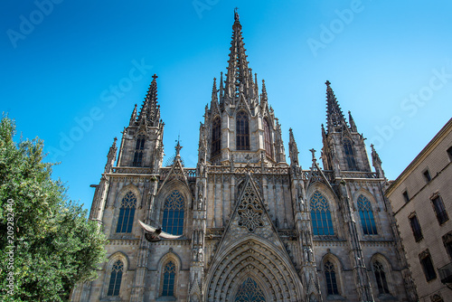 Cathedral of the Holy Cross and Saint Eulalia. Barcelona.