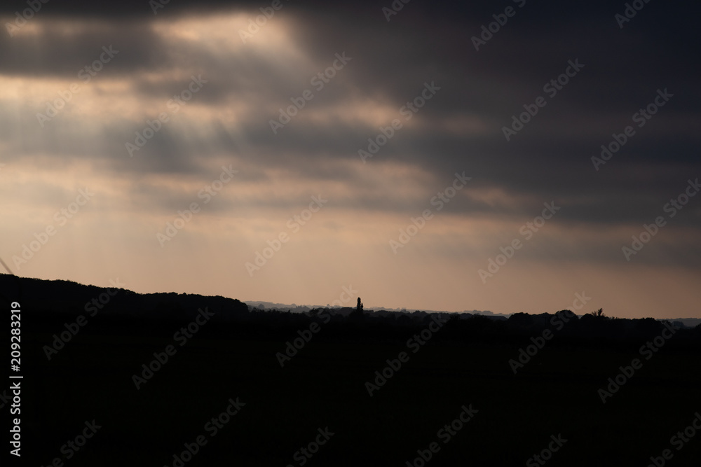silhouettes of bushes and trees on the horizon. silhouettes of bushes and trees on the horizon.