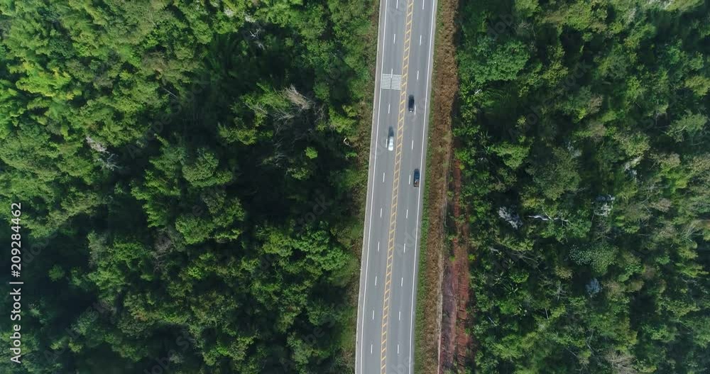 Aerial view country road in forest Aerial view country road in forest