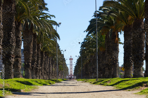 Palm trees empty avenue with La Serena Lighthouse on the background on sunny winter day, Chile. Main park road towards iconic landmark photo