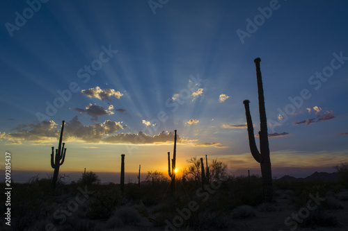 Arizona sunset © Bill