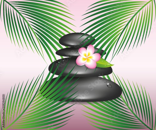 zen steine frangipani blüte und grüne palmenblätter