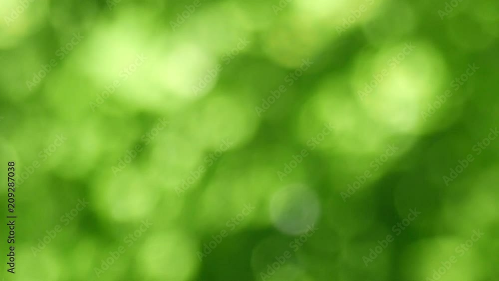 green bokeh abstract background green bokeh abstract background