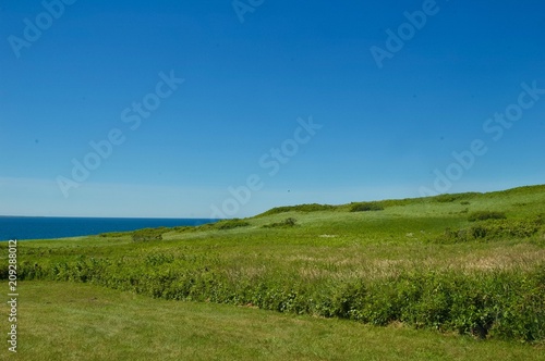 Martha s Vineyard Ocean Views from Green Pastues