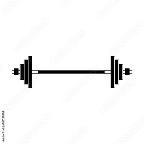 Gym iron weights vector illustration graphic design