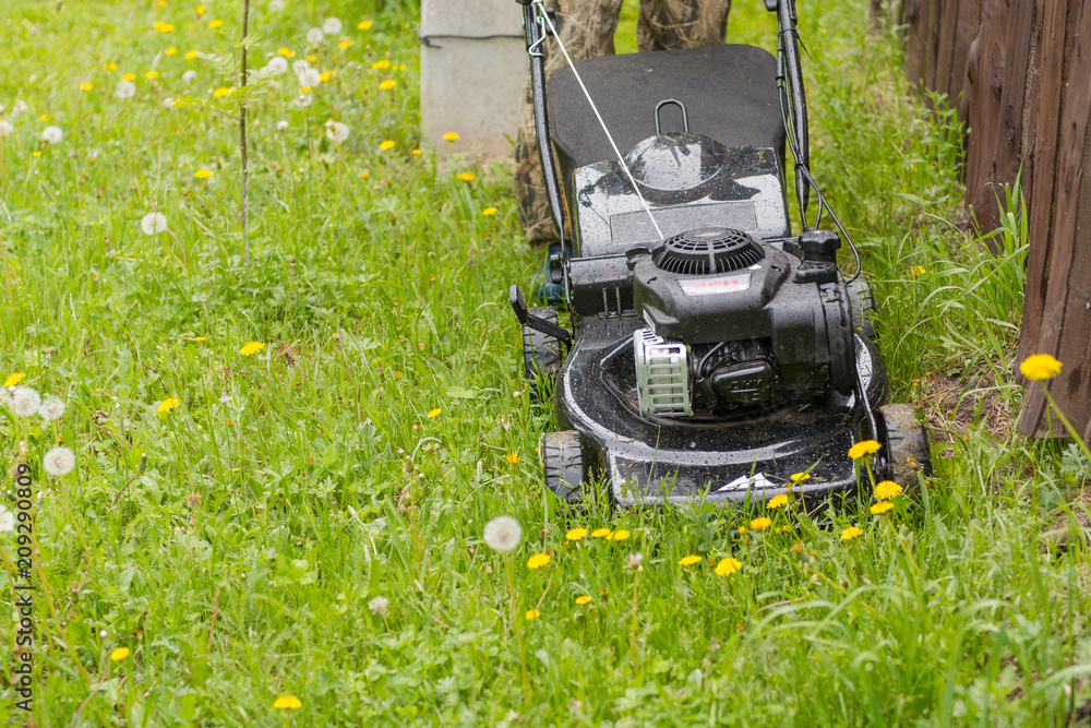 Naklejka Lawn mower. Mow the lawn with a lawn mower.