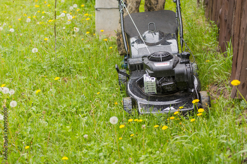 Lawn mower. Mow the lawn with a lawn mower.